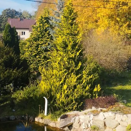 Bocian&kot Kolobrzeg
